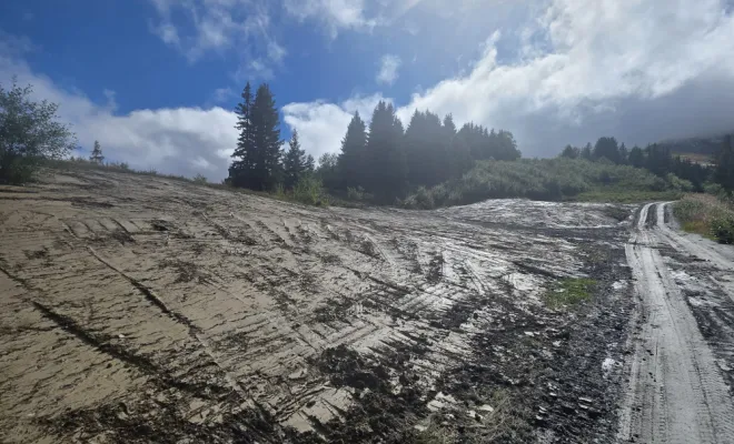 Mise au propre et à l'état naturel d'un terrain, Fréjus, MARTIN Hervé Terrassement