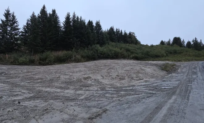 Mise au propre et à l'état naturel d'un terrain, Fréjus, MARTIN Hervé Terrassement